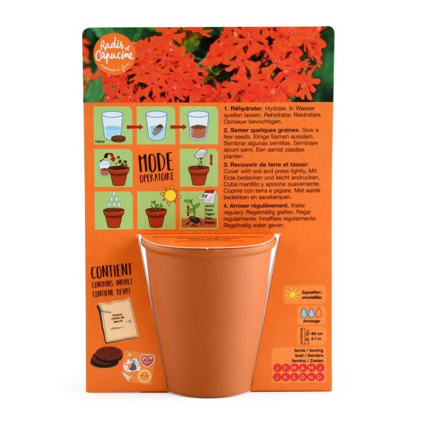 Radis et Capucine - Kit de jardinage enfant - Chevalier - MEDIA_PACKAGING_VERSO